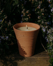 Load image into Gallery viewer, St Eval Terracotta Pot - Bay and Rosemary