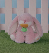 Load image into Gallery viewer, Binky Bunny - Dot by Dinkum Dolls by Olliella
