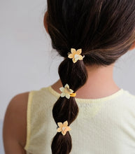 Load image into Gallery viewer, Daffodil mini ponies