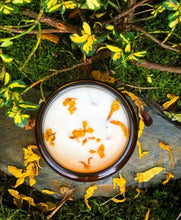 Load image into Gallery viewer, Ginger Solstice Candle