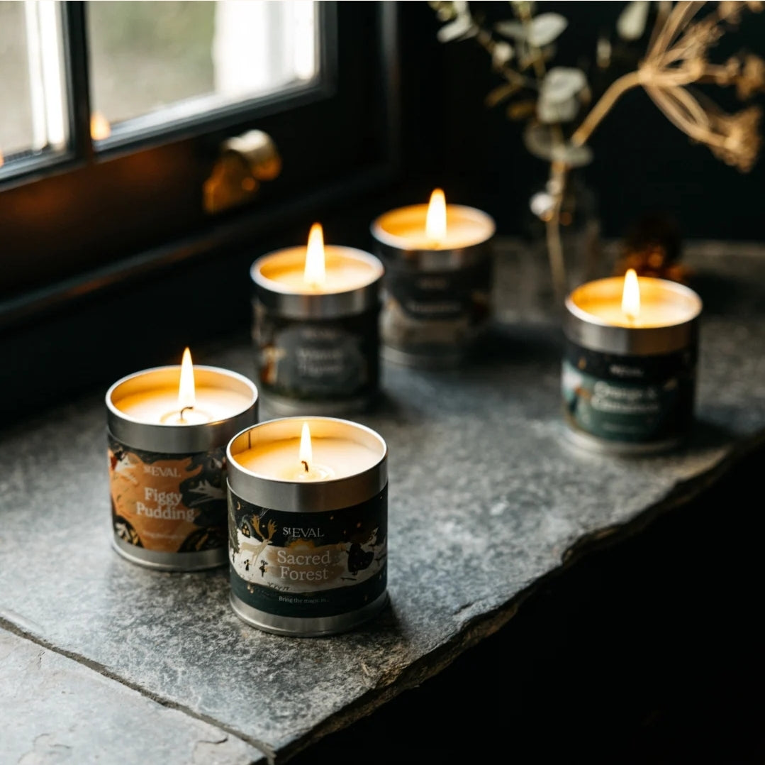 Winter Thyme festive candle in tin