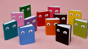 Googly Eye Mini Notebooks