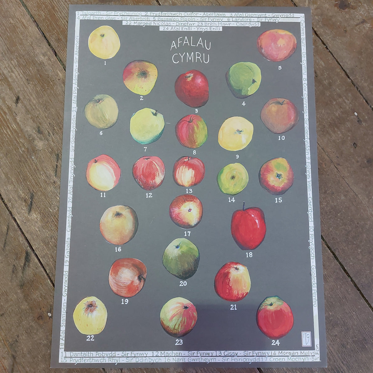 Afalau Cymru print gan Ffion Gwyn