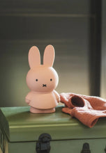Load image into Gallery viewer, Miffy money box
