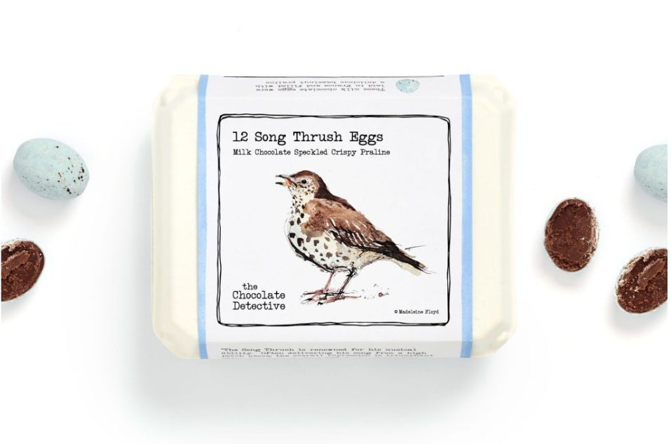 Chocolate Bird Eggs