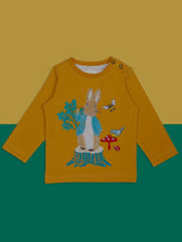 Load image into Gallery viewer, Peter Rabbit Woodland Top
