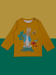 Peter Rabbit Woodland Top