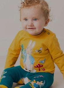 Peter Rabbit Woodland Top