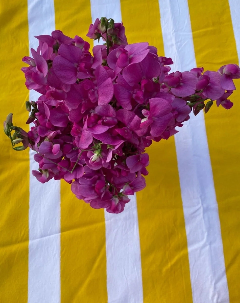 Indian Block printed yellow stripe tablecloth