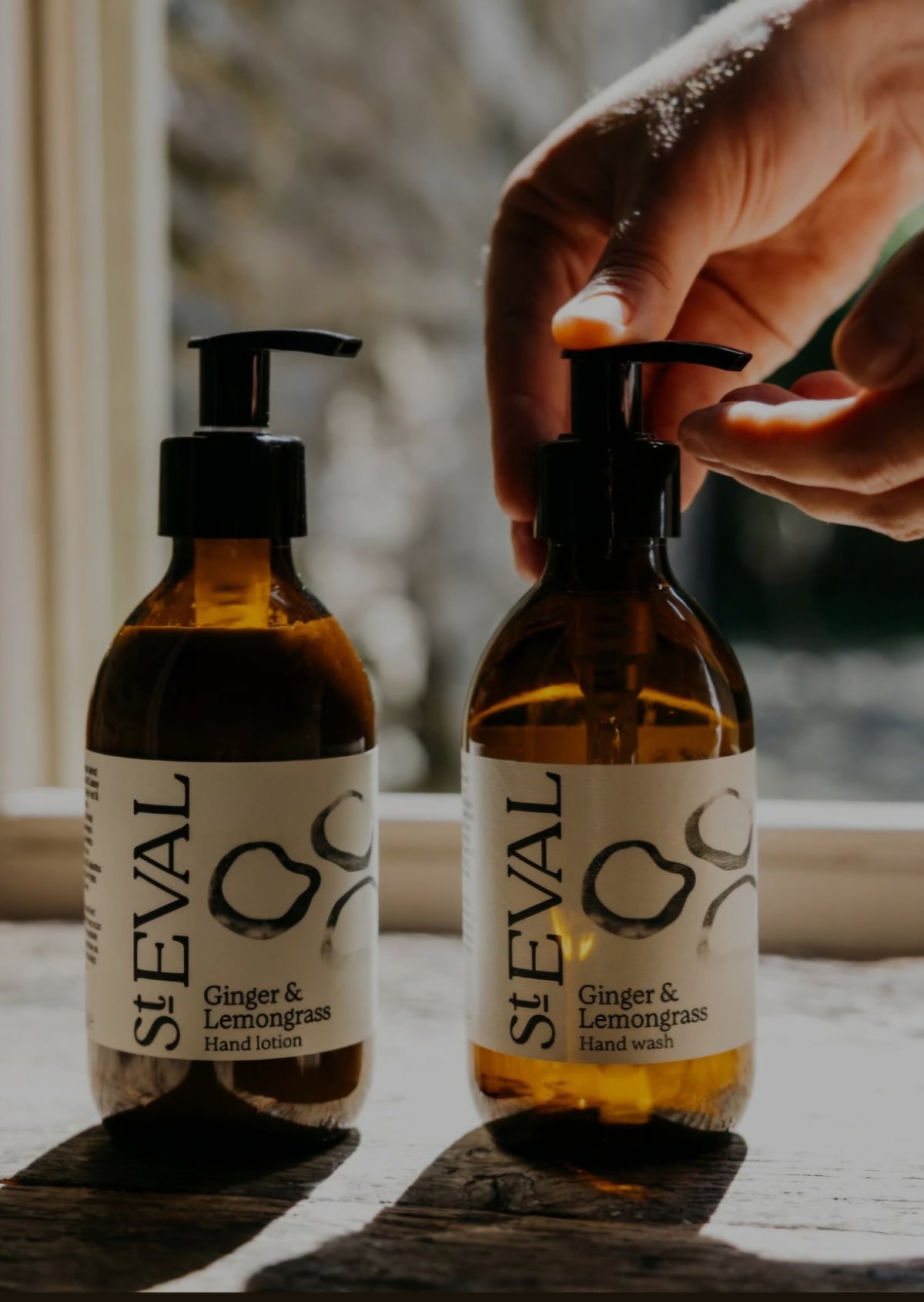 St Eval Hand Lotion - Ginger and Lemongrass