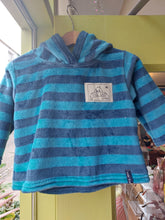 Load image into Gallery viewer, Children's Hoodies by Indicymru
