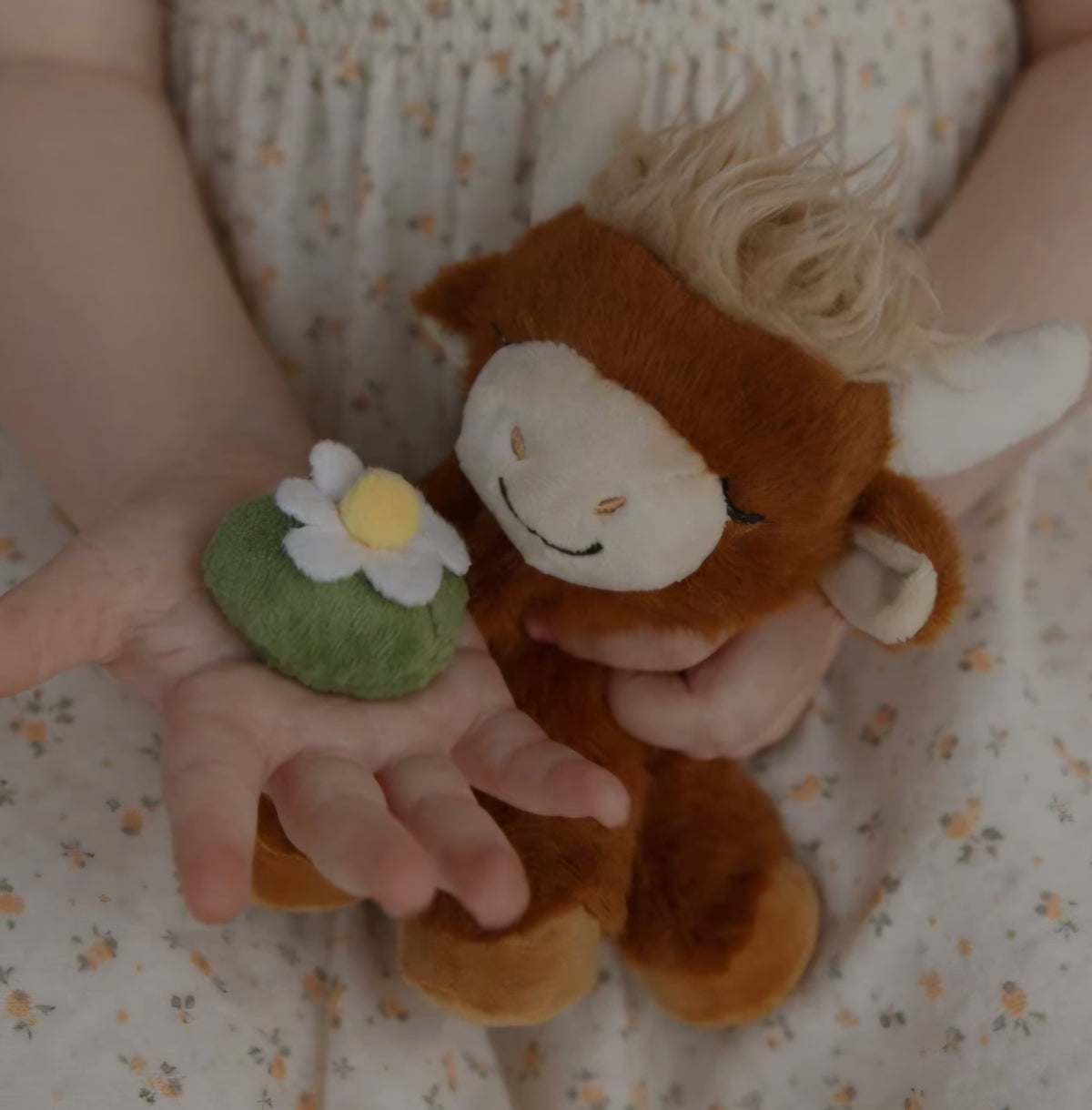 Binky Cow - Gus by Dinkum Dolls by Olliella