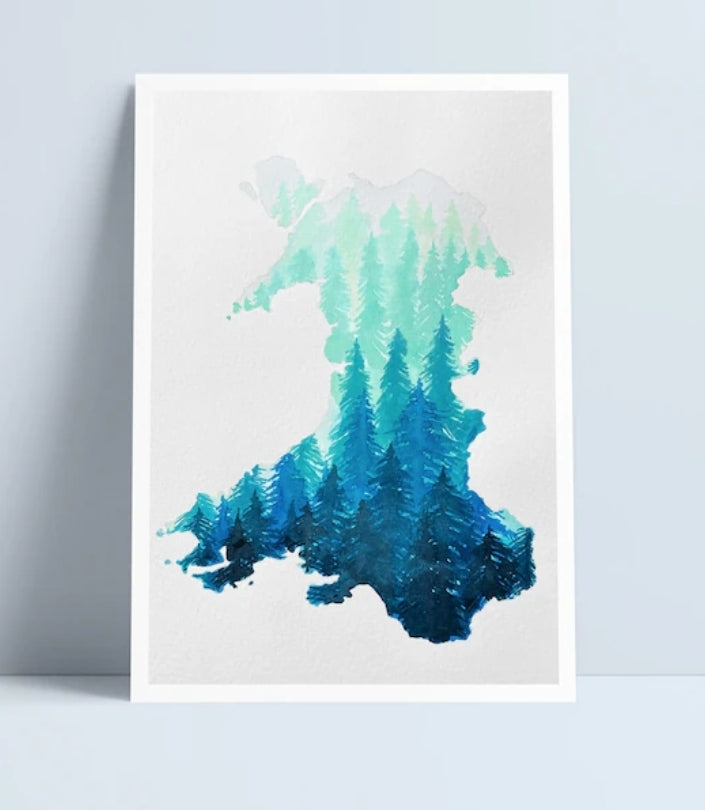 Welsh Wilderness print