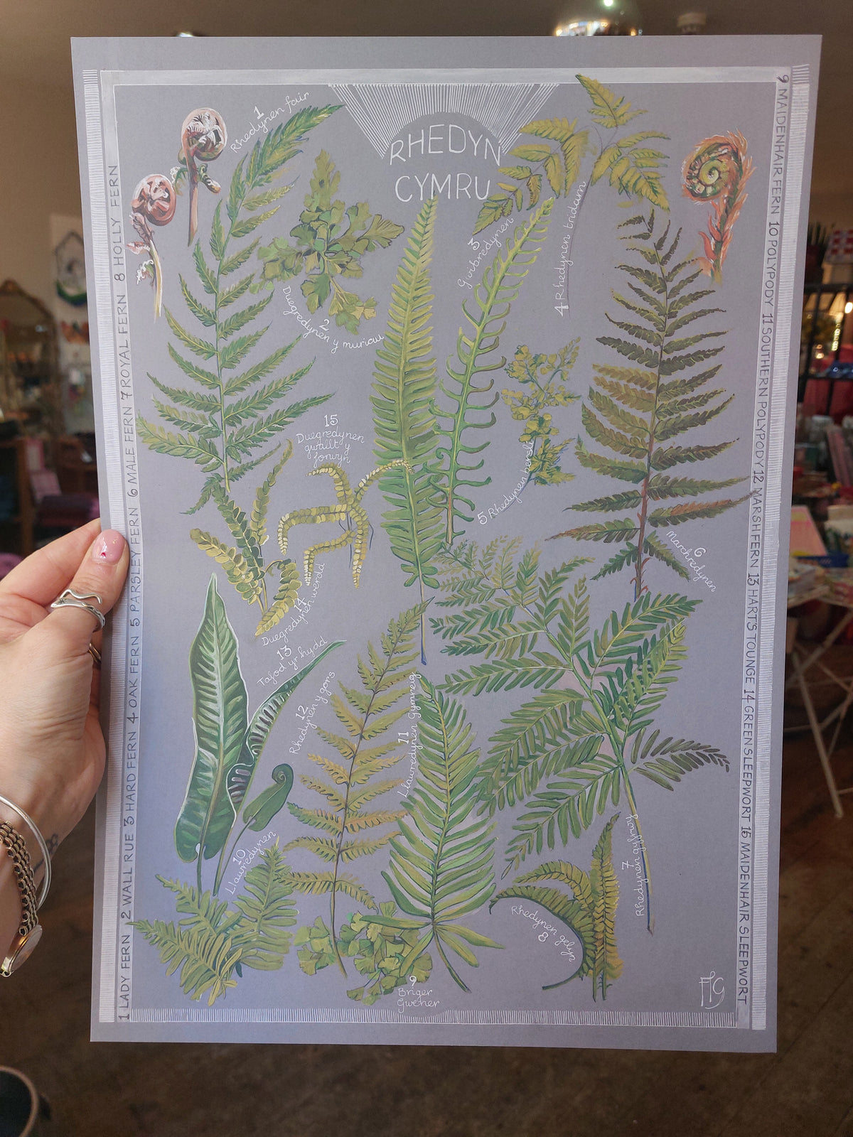 Rhedyn Cymru A3 print gan Ffion Gwyn
