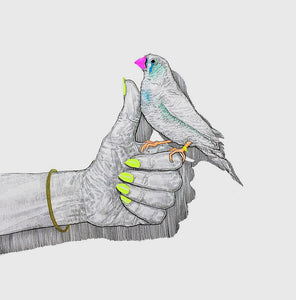 Bird in hand - A4 Print by Niki Pilkington