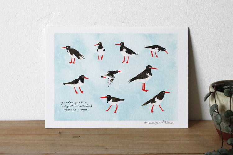 Pioden Y Môr Print