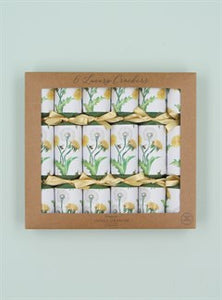 Easter Crackers - box of 6