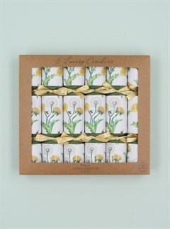 Easter Crackers - box of 6