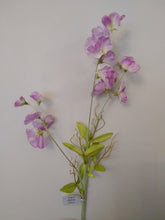 Load image into Gallery viewer, Faux Sweet Pea Stem
