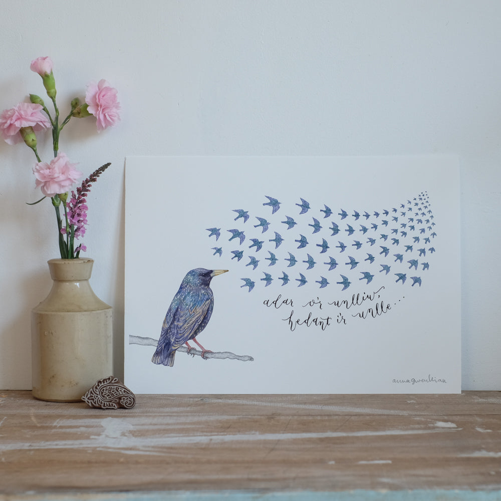 'Adar o'r Unlliw' Print / 'Birds of a Feather' print