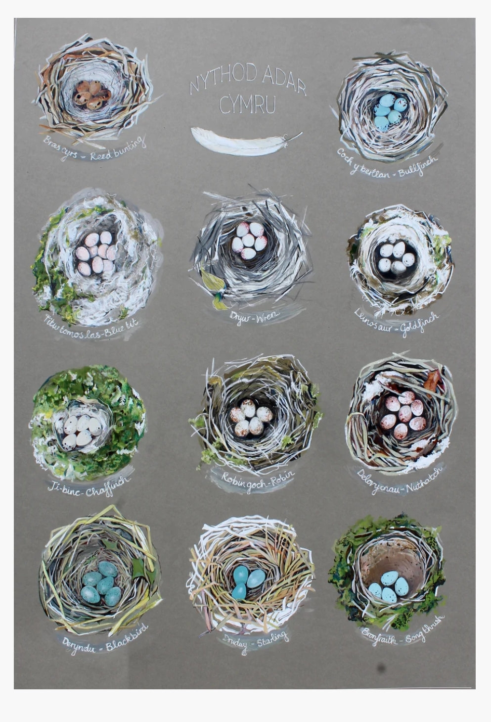 Nythod / Nests A3 print by Ffion Gwyn