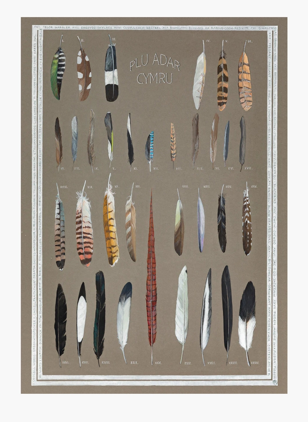 Plu / Feathers A3 print by Ffion Gwyn