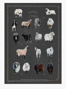 Defaid / Sheep A3 print by Ffion Gwyn