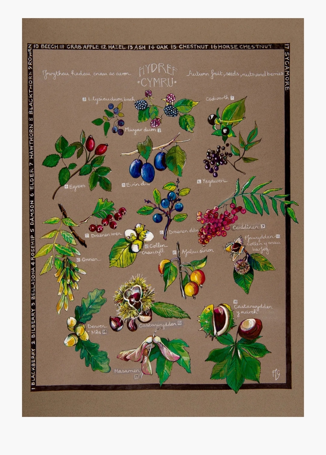 Hydref / Autumn A3 print by Ffion Gwyn