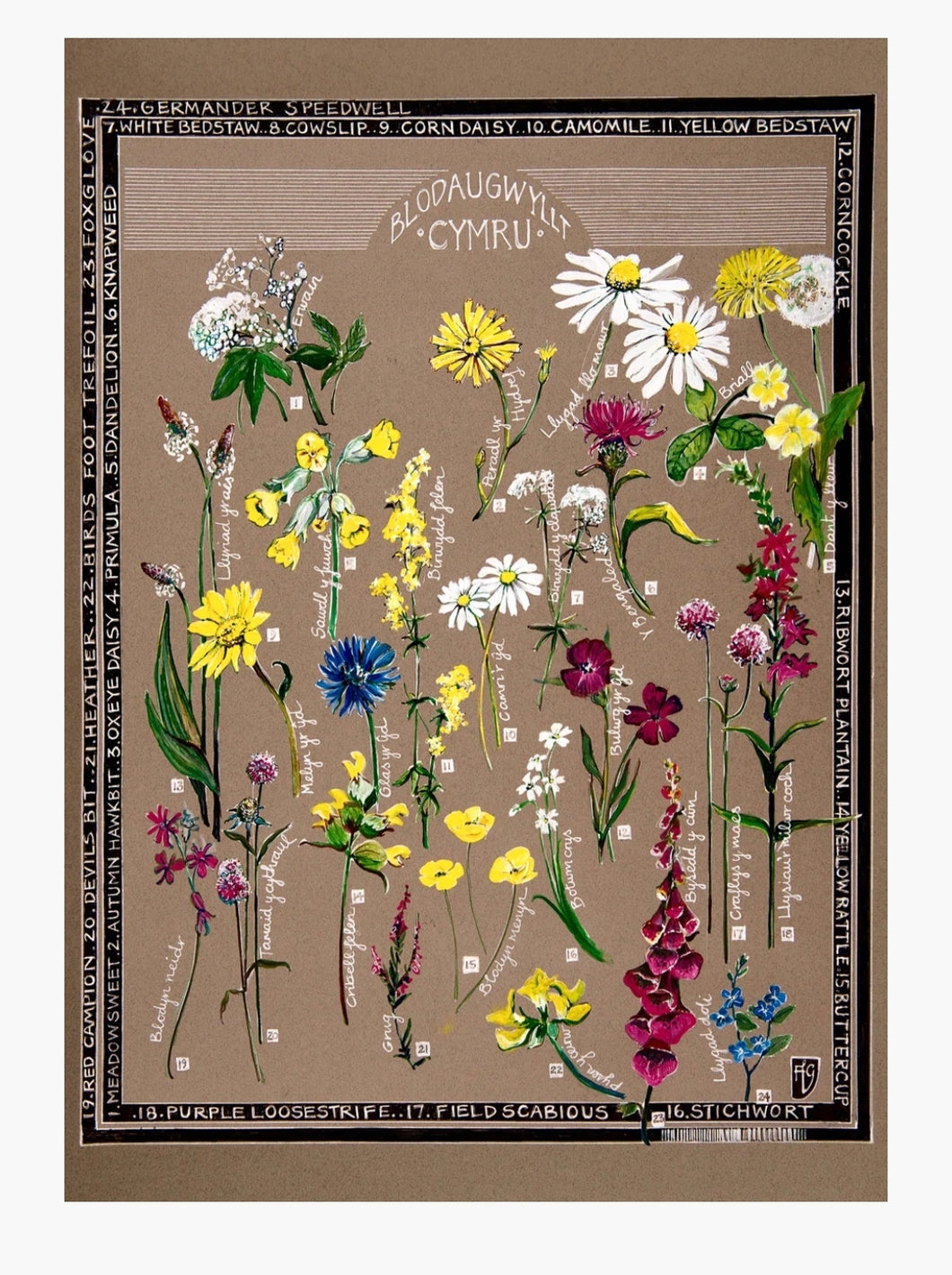 Blodau gwyllt / Wild flowers A3 print by Ffion Gwyn
