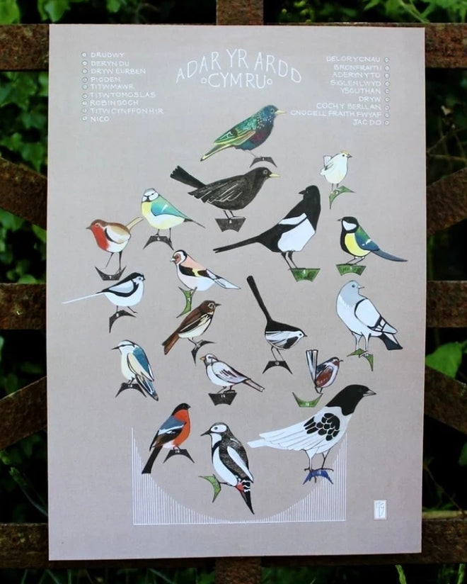Adar yr Ardd / Garden Birds A3 prints by Ffion Gwyn