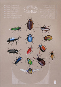 Chwilod / Beetles A3 print by Ffion Gwyn