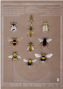Gwenyn / Bees A3 print by Ffion Gwyn