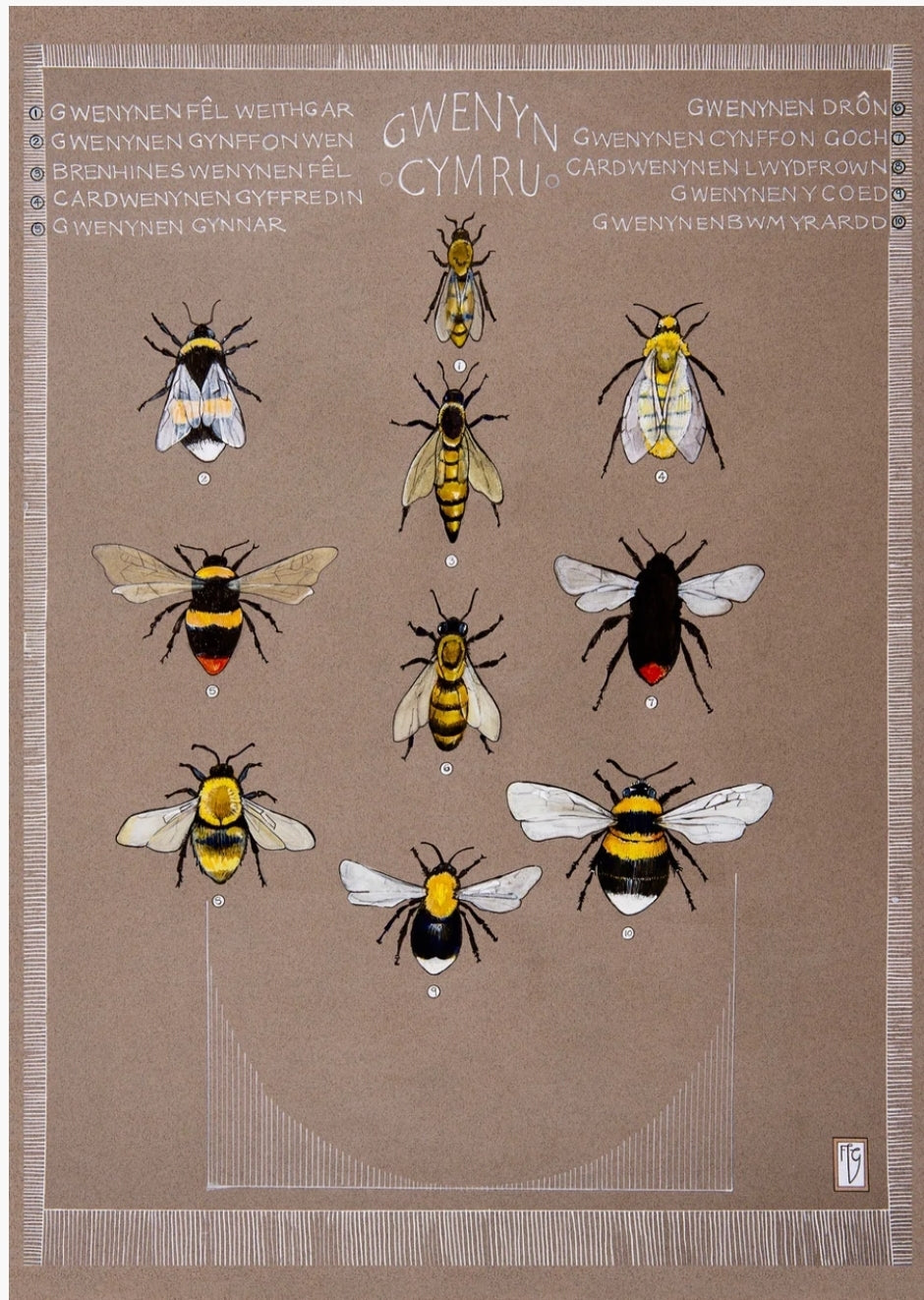 Gwenyn / Bees A3 print by Ffion Gwyn