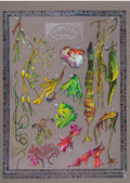 Gwymonau / Seaweeds A3 print by Ffion Gwyn