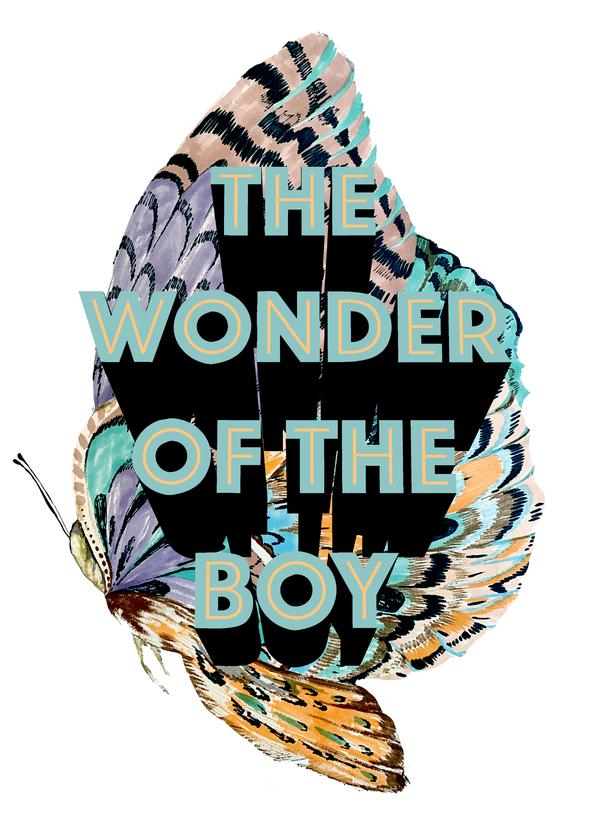 The Wonder of the Boy A4 print